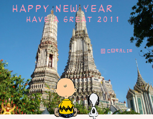 2011新年おめでとうございます